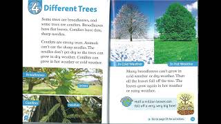 (Oxford RnD - Level 1) Trees