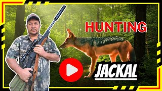 Video: 