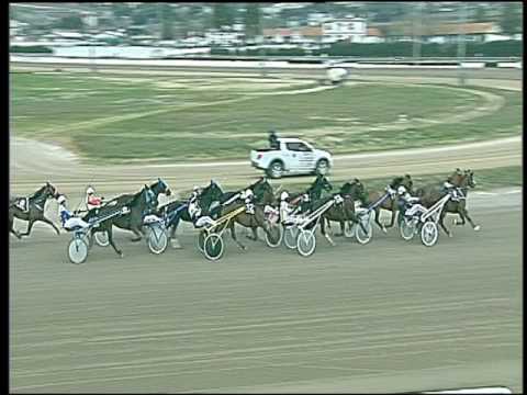 Trotto 03/02/2017 - 3ª corsa