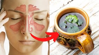 Natural Cures For Sinus Infection (3 Home Remedies For Sinusitis Infection)