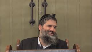 הרב אופיר טנג'י - הלכה בפרשה - פרשת ויקהל פקודי - כמה לנוח בשבת..?  א'