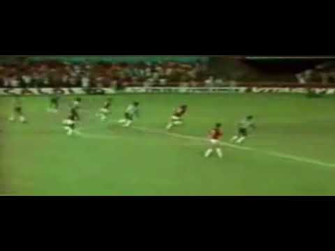 João Batista Nunes (Flamengo) - 22/11/1980 - Flamengo 3x1 Botafogo - 1 gol