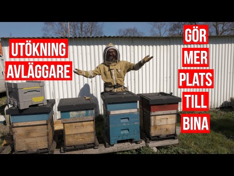 Utökning avläggare