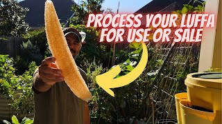 Garden Grown & Germ-Free! 🌱 Luffa Sterilizing Made Easy