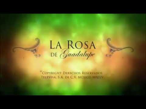 LA ROSA DE GUADALUPE -LIMPIEZA EN LA MIRADA (1/2) CAPITULO COMPLETO
