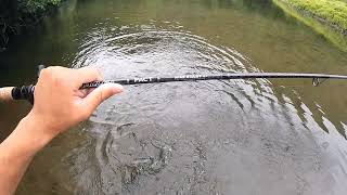 平瀬彪 撮影  ビックバスゲット！