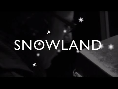 Peter's Playstation feat. Andy Scherrer - SNOWLAND