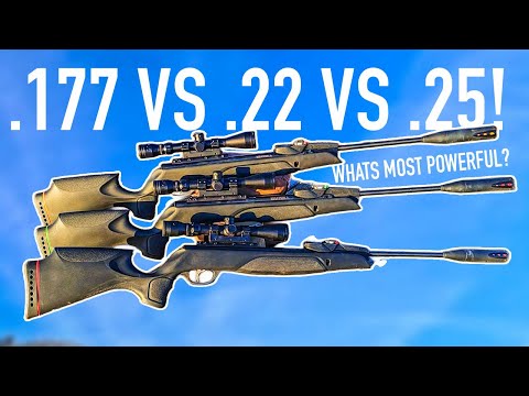 Don’t Buy A Gamo Till You Watch This! Comparing ALL three SWARM Calibers 👍