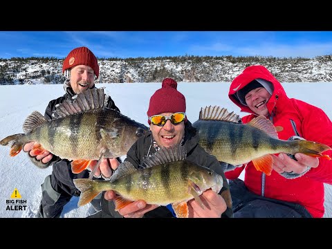 KAIKKIEN AIKOJEN PILKKIREISSU