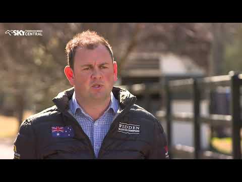 BRED TO WIN WRITTEN BY WIDDEN STUD 2019