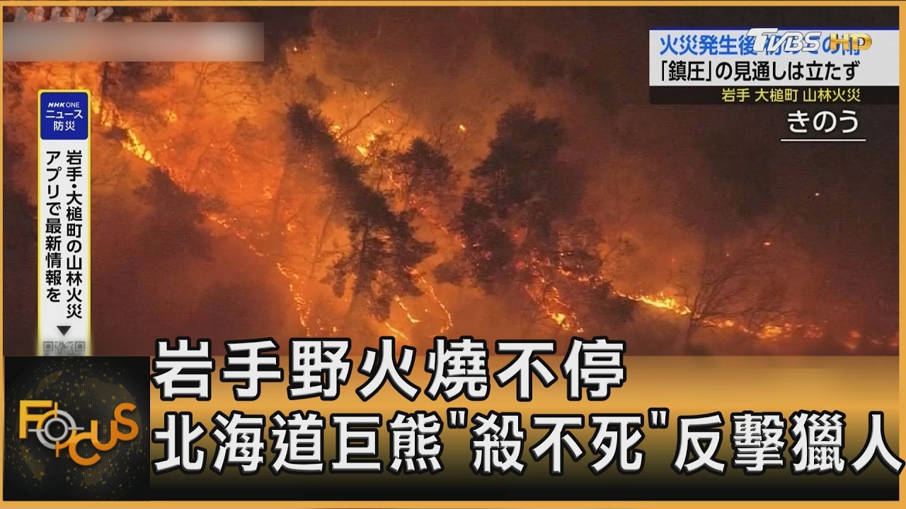 岩手野火燒不停 北海道巨熊挨多槍氣未絕 反擊獵人