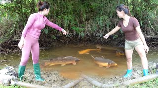 Greatest Fishing Video, Two Young Girl's Drain Water from the Pond, Catch a Lot of Fish | Giant Fish