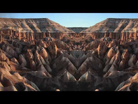 [AfroFunk/Soul] Free Thoughts : Fela Kuti & Charles Bradley