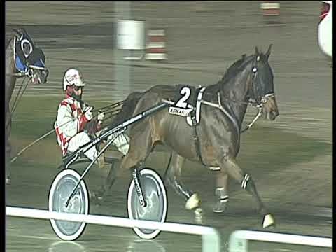 Trotto 03/12/2017 - 7ª corsa