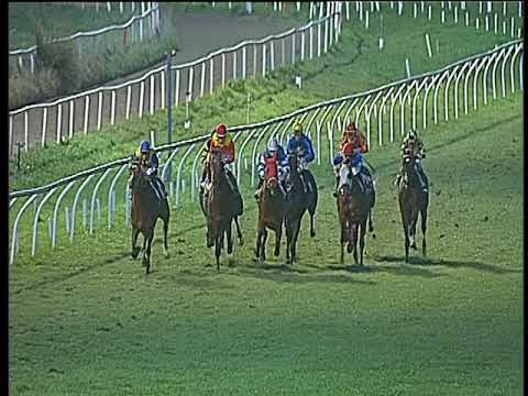 Galoppo 13/02/2018 - 5ª corsa