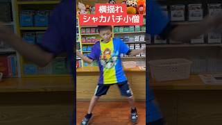 横揺れシャカパチ小僧現る