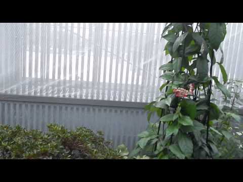 Xenia si fluturi in libertate la Gradina Botanica