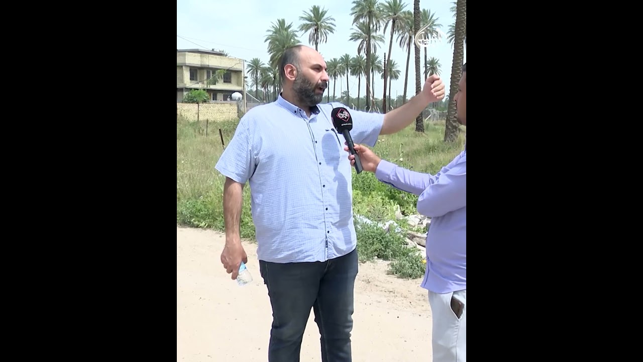 فيديو | من القفص إلى الازقة!.. أسد طليق يثير الذعر في منطقة الراشدية منذ شهر
