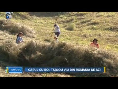 Asta-i Romania (01.10.2023) - Carul cu boi: tablou viu din Romania de azi!