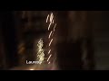INSANE Las Vegas shooting footage