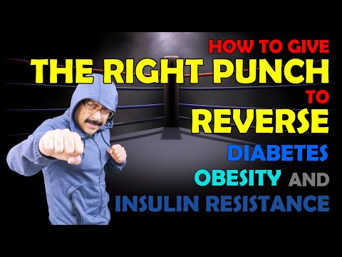 Video 28 - How to Give the Right Punch to Reverse Diabetes, Obesity & Insulin Resistance