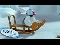 Pinga Goes Skiing Pingu Cartoons For Kids