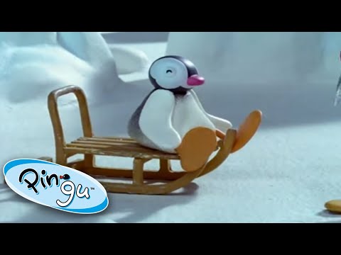 Pinga Goes Skiing! @Pingu | Cartoons For Kids - Kids (0-4), Kingdom Kids Zone - Pingu - Official Channel