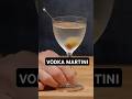 THIS is how you should make a Vodka Martini