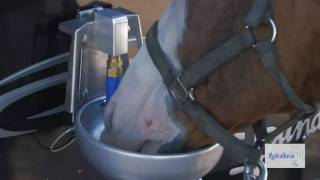 preview picture of video 'Horses and Livestock Travel and Arrive Hydrated and Happy'