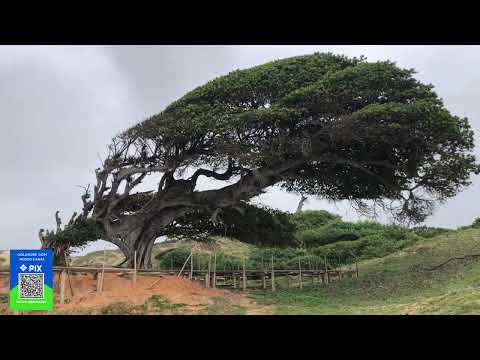 ÚLTIMO VÍDEO DO RIO GRANDE DO NORTE! 
