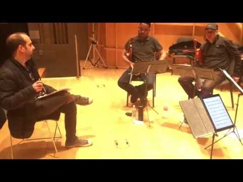 Alexander String Quartet Working with Tarik O'Regan
