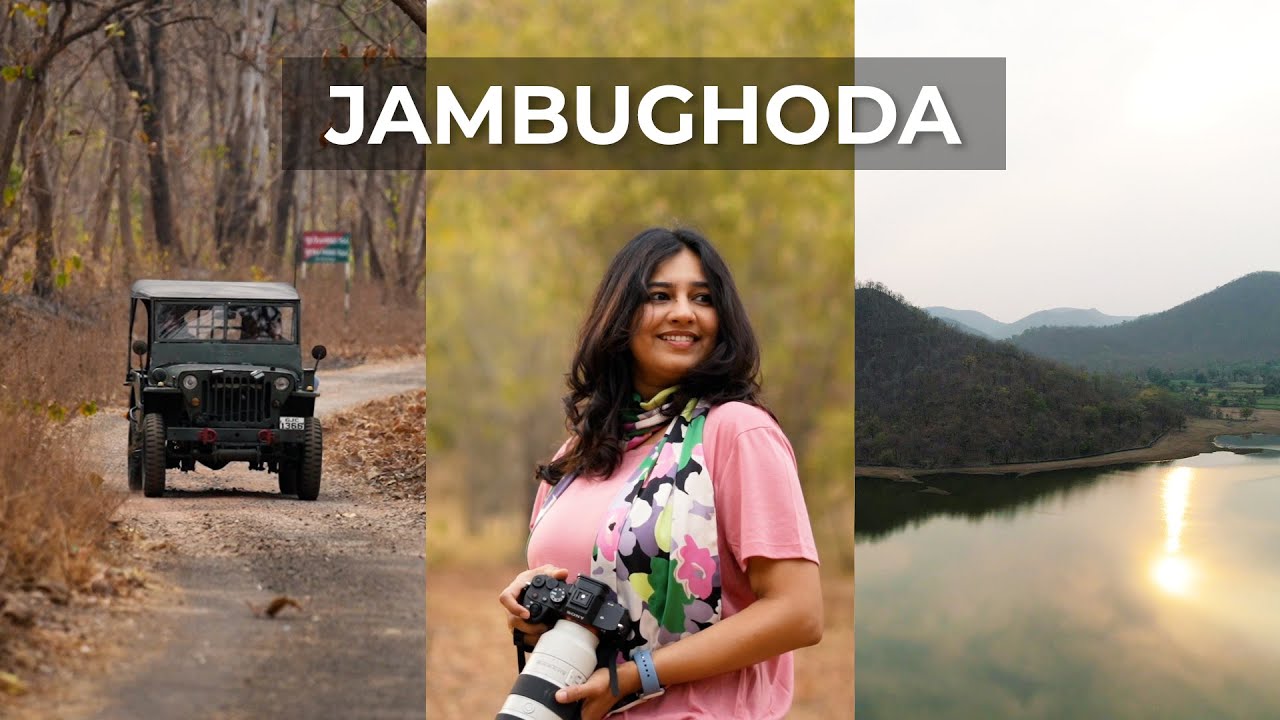 Jambughoda wildlife sanctuary | Aditi Raval