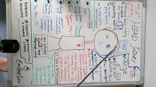 Management of Head Injury in the Emergency Department