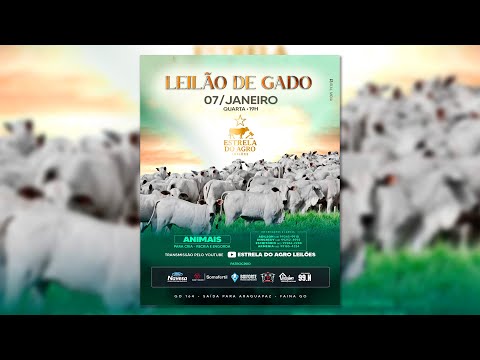 LEILÃO GADO DE CORTE ESTRELA DO AGRO LEILÕES  FAINA-GO 07/01/2026 | Leilão ao Vivo - Leilão de Gado