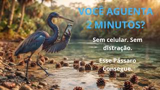 O Que os Bichos Podem Ensinar Sobre a Vida? #motivacao#superação #desenvolvimentopessoal #disciplina