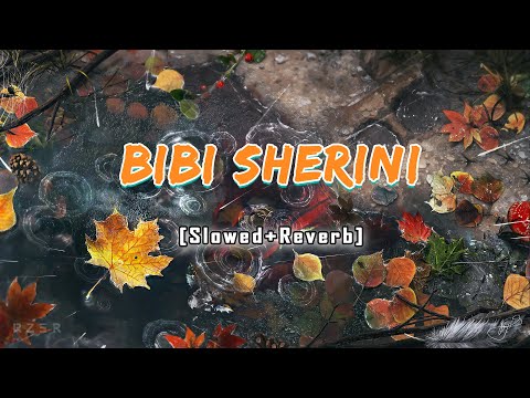 Bibi Sherini Pushto Full Song - [ Slowed and Reverb ]