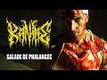KANINE - SALADE DE PHALANGES [OFFICIAL MUSIC VIDEO] (2026) SW EXCLUSIVE