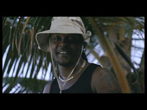 ZEBRIST TELL DEM - Elle danse (clip officiel)