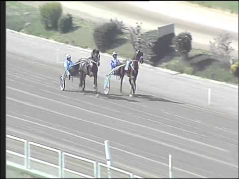 Trotto 19/03/2015 - prova di qualifica