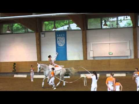 Gut Waffenschmiede 1 - Pferd International 2014