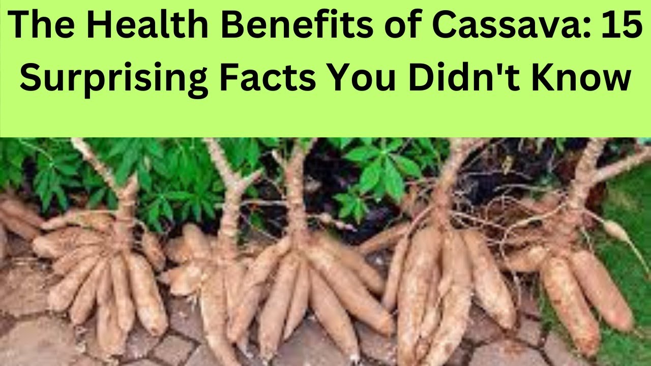 The Health Benefits of Cassava: 15 Surprising Facts You Didn't Know