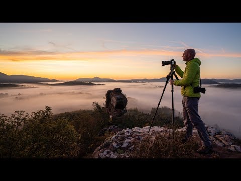 Sonnenaufgang fotografieren im Pfälzerwald