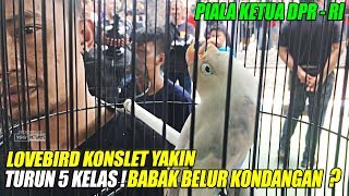 Download lagu PIALA KETUA DPR RI : TURUN 5 KELAS ! LOVEBIRD KONSLET YAKIN BABAK BELUR KONDANGAN ? mp3