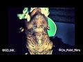 KiD iNK - Neva Gave A Fuck - (Prod by DJ ...