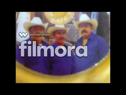 download lagu mp3 mp4 Lupe Y Raul, download lagu Lupe Y Raul gratis, unduh video klip Lupe Y Raul