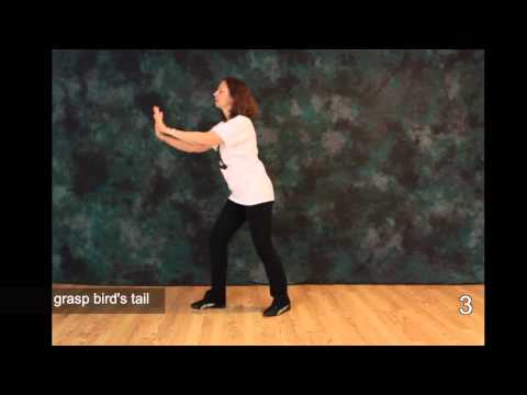 Tai Chi - The First Moves (1, 2, 3) - Free Tai Chi Online Lessons