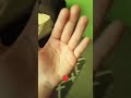 Press The Button LUCKY BUTTON Meme