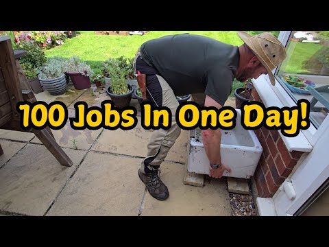 The Most Productive Day in My Garden – Ever!