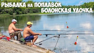 Ловля на болонскую удочку карпа