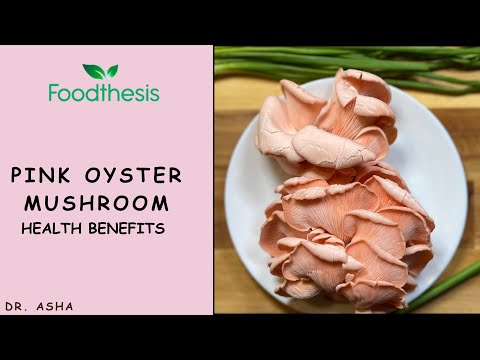 Pink oyster mushroom health benefits